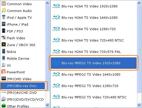 avchd disc format