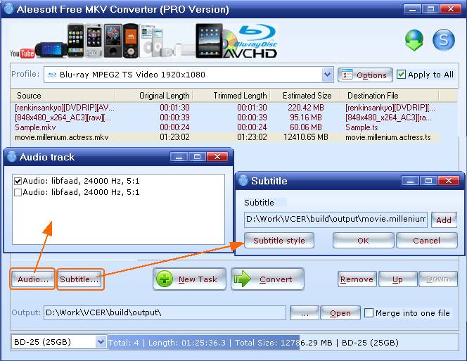 add mkv video, subtitle and audio settings